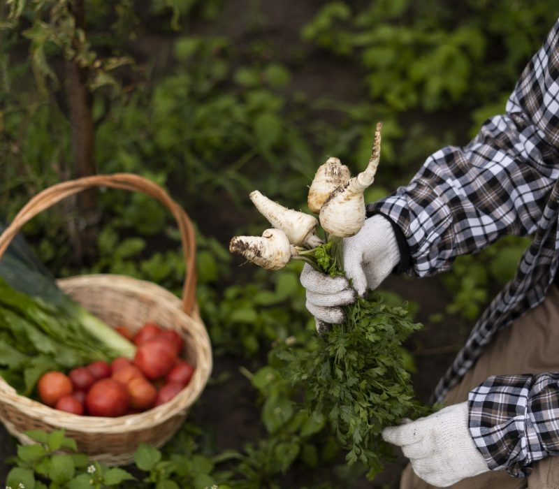 peasant-woman-gardening-high-angle